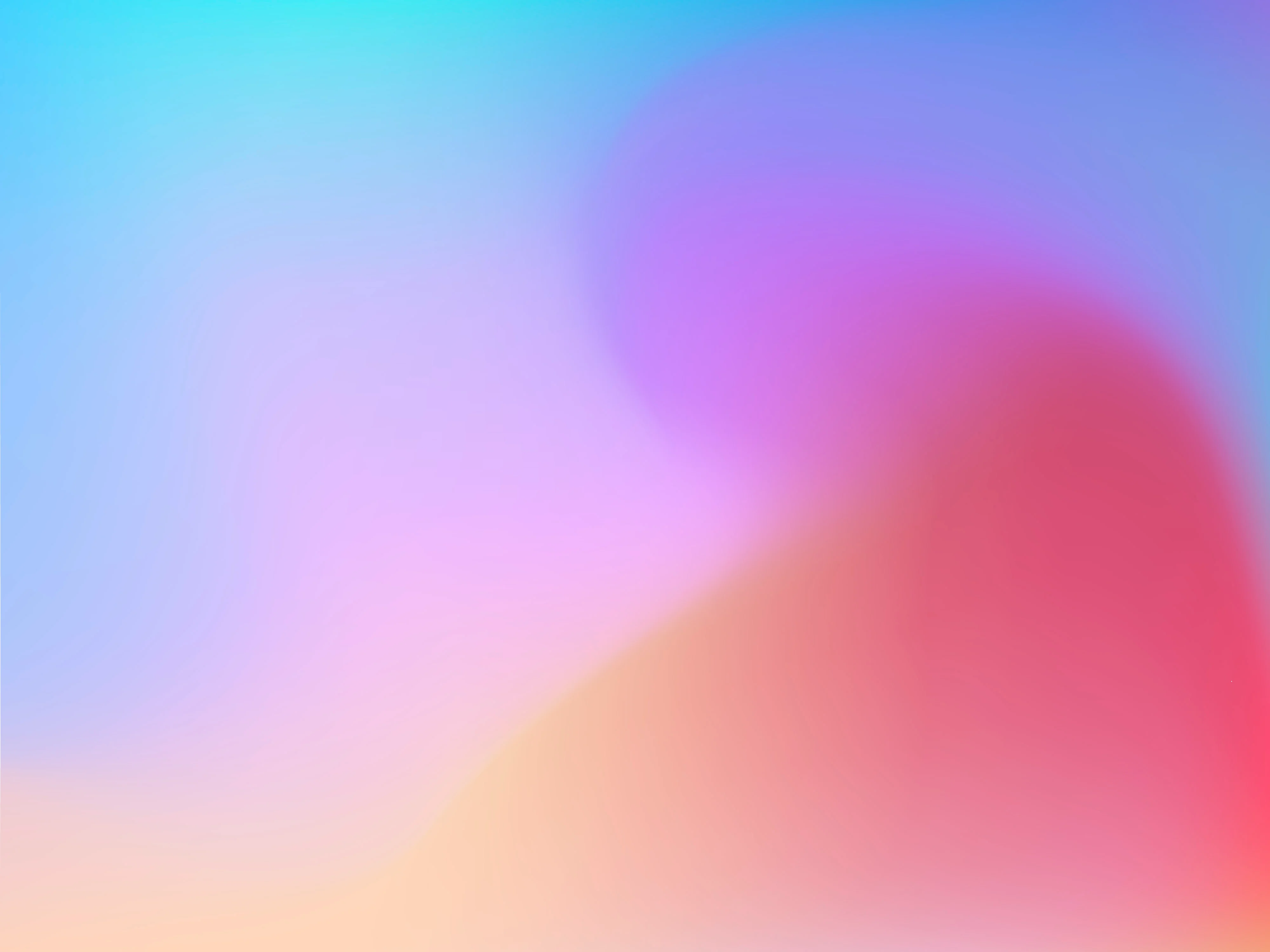 banner.webp