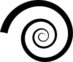 spiral_no_transparent.png